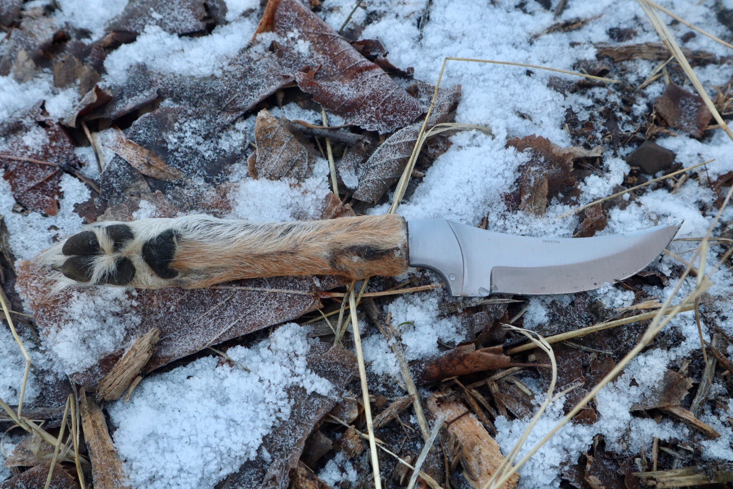 Coyote Paw Knife
