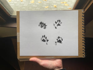 Reserved for Dawson - Polydactyl Cat Paw Prints - Acrylic on Canson Drawing Paper