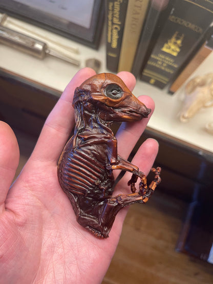 Reserved for Destiny - Dry Preserved Fetal Piglet