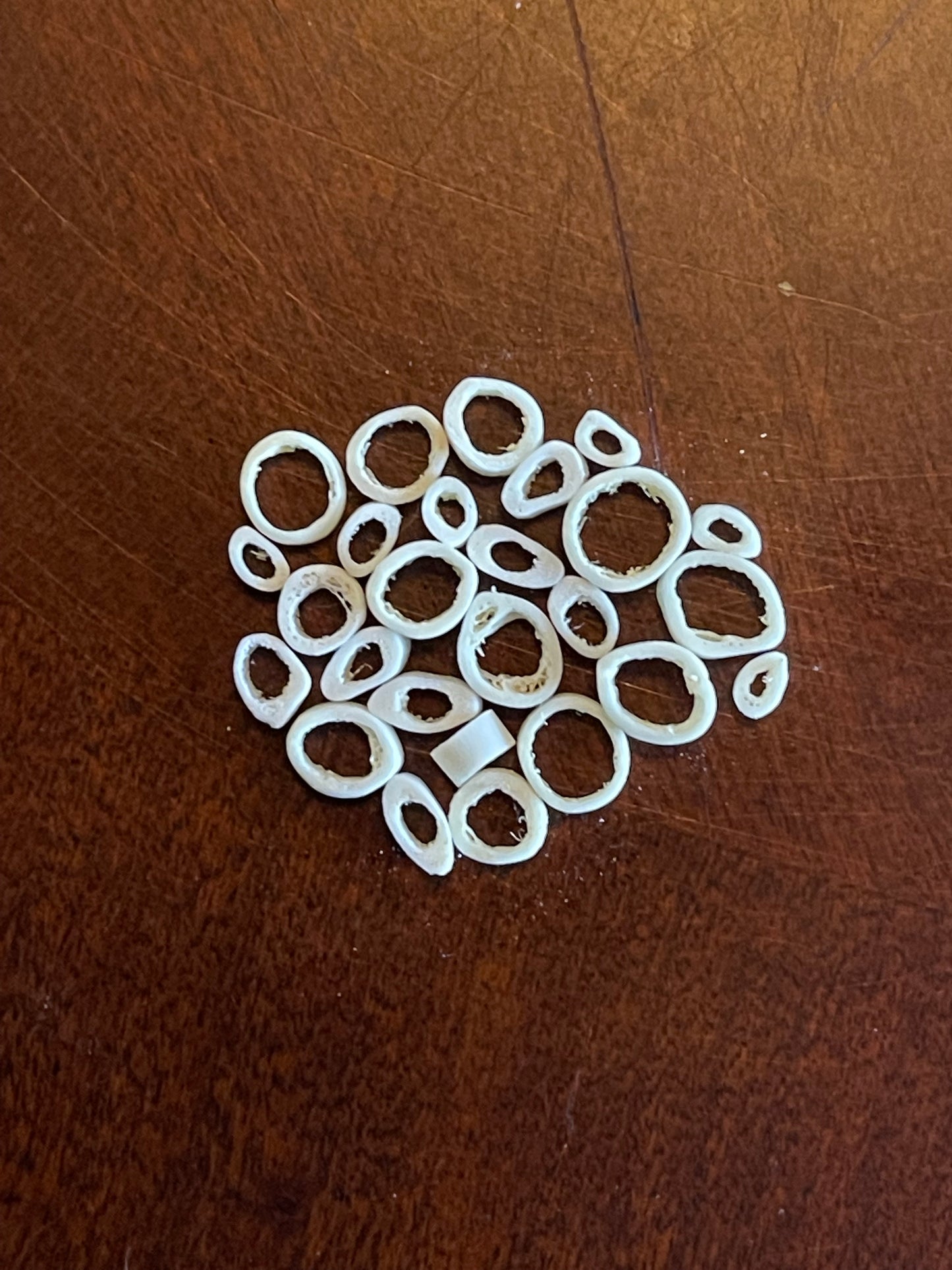 Reserved for Alexandra - Domestic Kitten Bone Beads