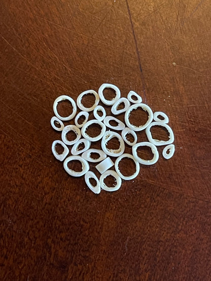 Reserved for Alexandra - Domestic Kitten Bone Beads
