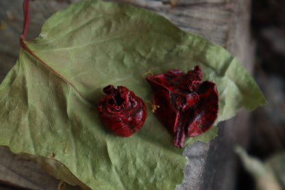 Reserved for Brandon - Dry Preserved Raccoon and Baby Rabbit Heart and Lungs