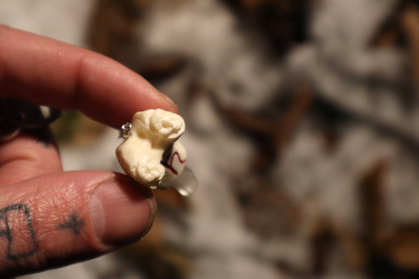 Raccoon Femur Pendulum with Ouroboros Ring