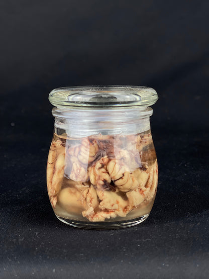 Reserved for Tea for Twenty - Wet Specimen Bison Brains