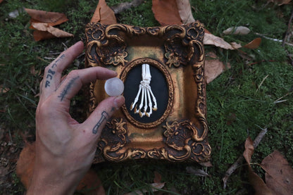 Raccoon Paw Articulation with Crystal Ball