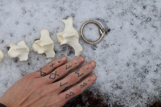 Fluid Bison Tail Articulation with Ouroboros Ring
