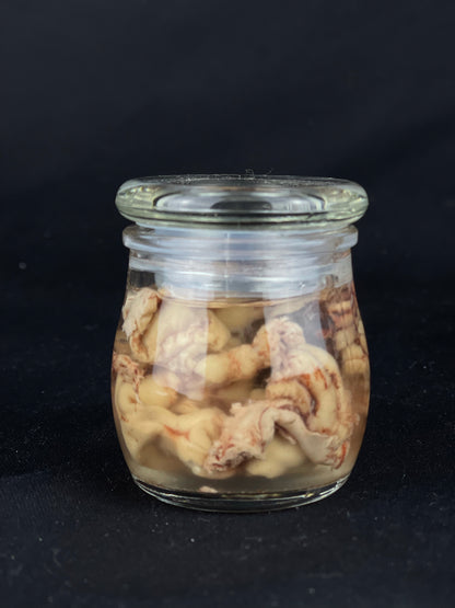 Reserved for Tea for Twenty - Wet Specimen Bison Brains