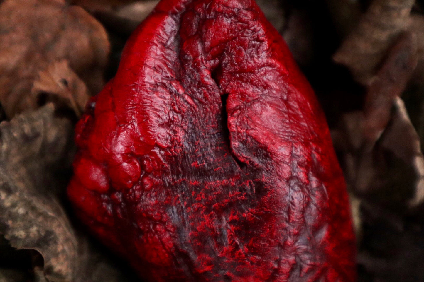 Dry Preserved Lamb Heart