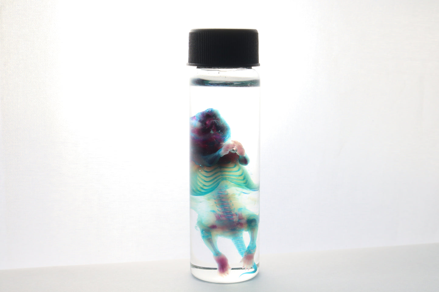 Reserved for Gabi - Diaphonized Baby Mouse