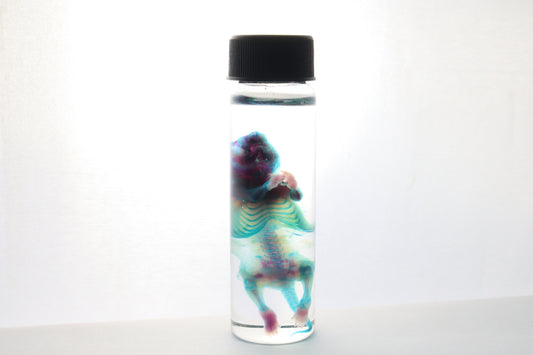 Reserved for Gabi - Diaphonized Baby Mouse