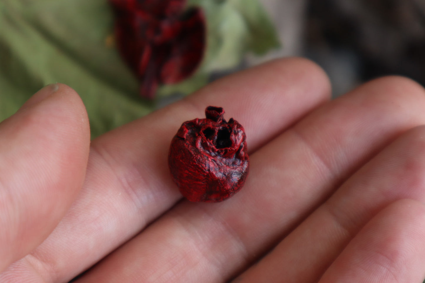 Reserved for Brandon - Dry Preserved Raccoon and Baby Rabbit Heart and Lungs
