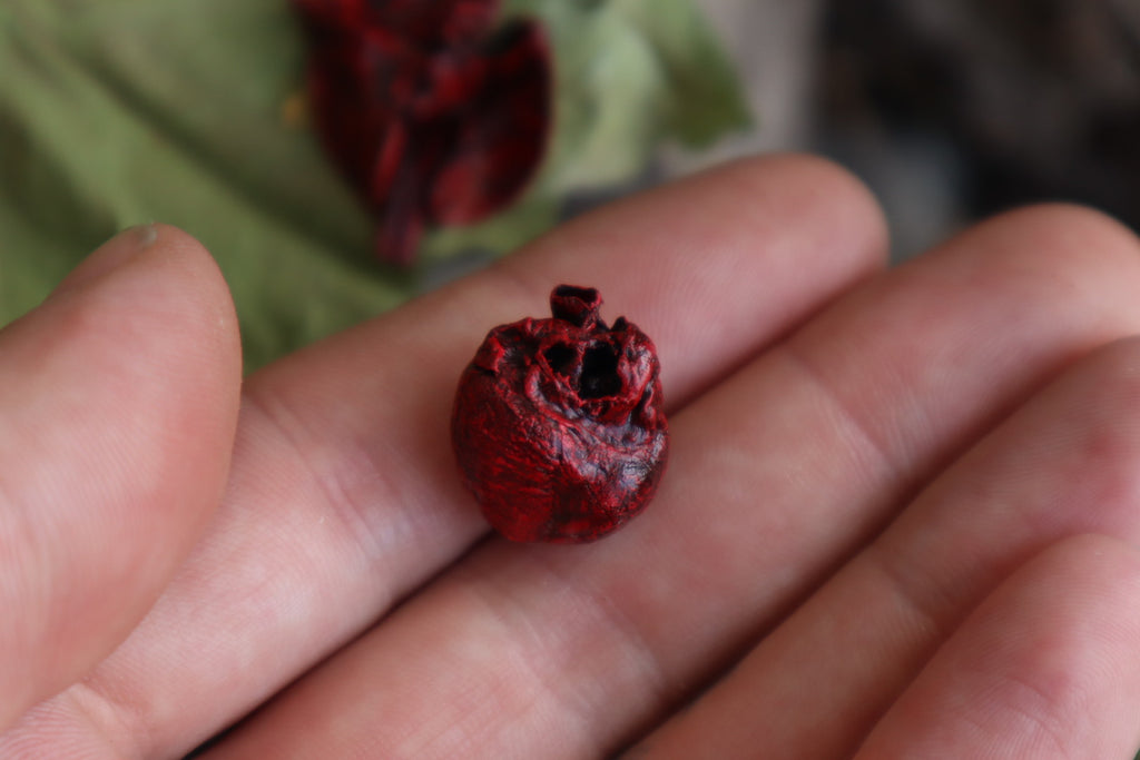 Reserved for Brandon - Dry Preserved Raccoon and Baby Rabbit Heart and Lungs