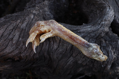 Dry Preserved Chicken Foot