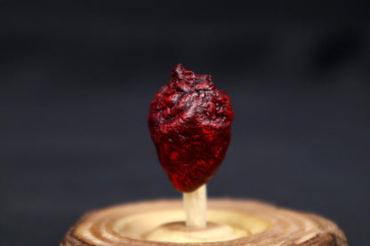 Dry Preserved Pigeon Heart in Glass Dome