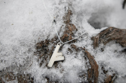 Reserved for Ren - Fehu Wolf Bone and Silver Talisman Pre-order