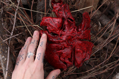 Dry Preserved Gray Wolf Lungs