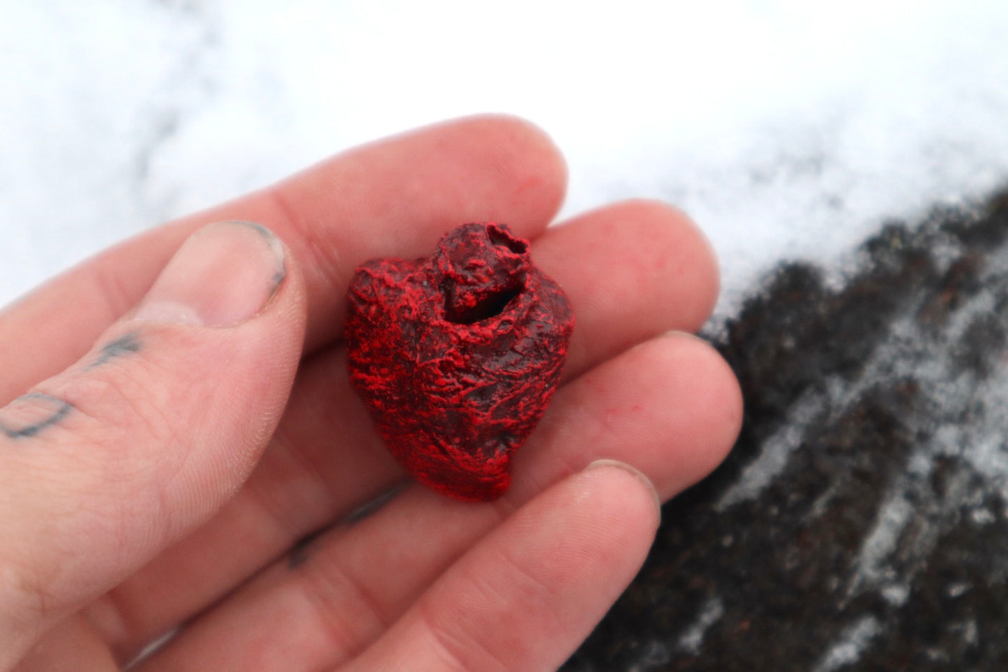 Dry Preserved Chicken Heart