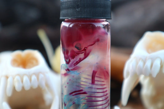 Diaphonized Fetal Coyote Pup