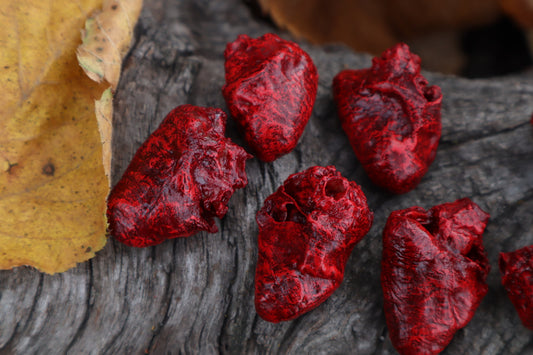 Dry Preserved Chicken Heart
