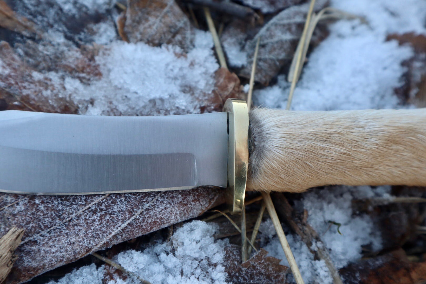 Coyote Paw Knife