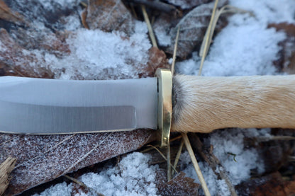 Coyote Paw Knife