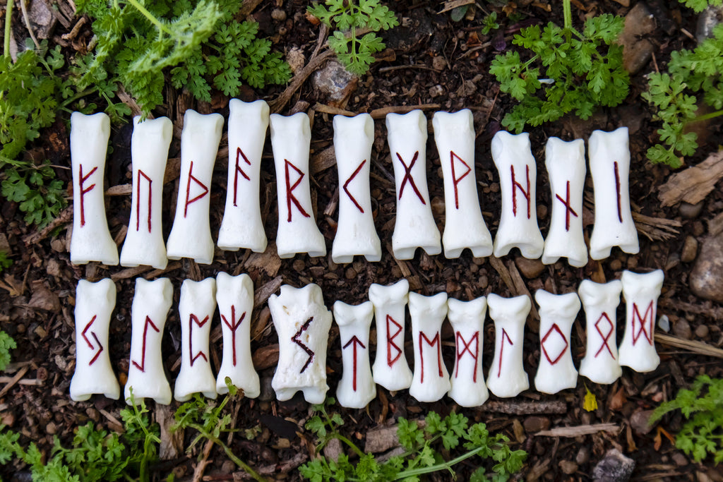 Gray Wolf Elder Futhark Rune Set