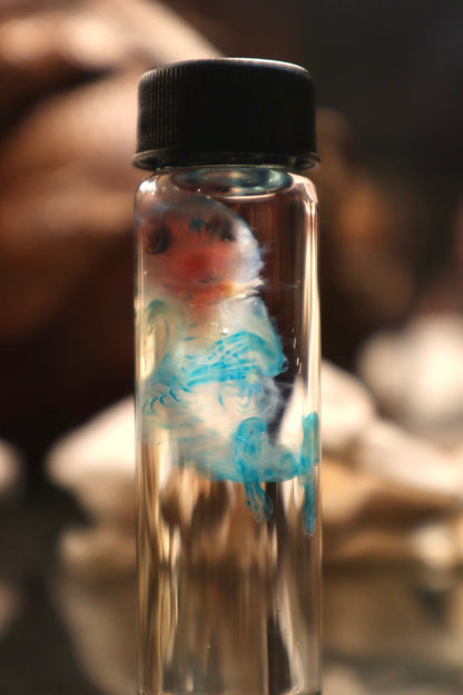 Diaphonized Fetal Cottontail Rabbit