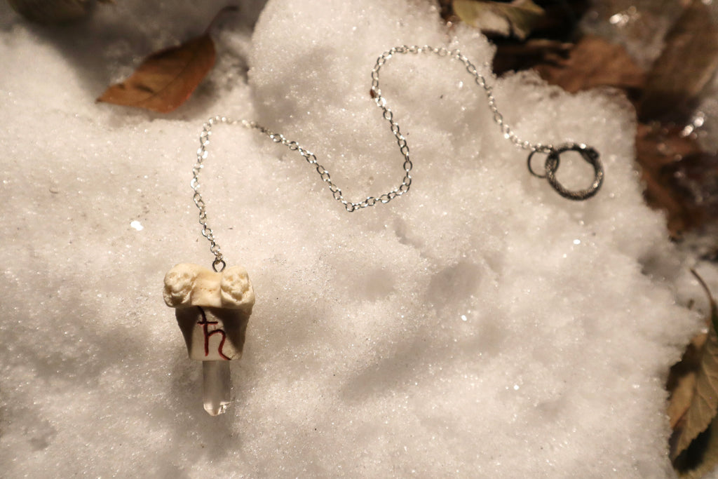 Raccoon Femur Pendulum with Ouroboros Ring