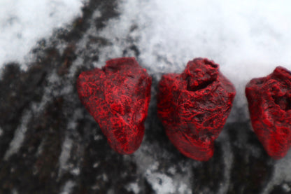 Dry Preserved Chicken Heart