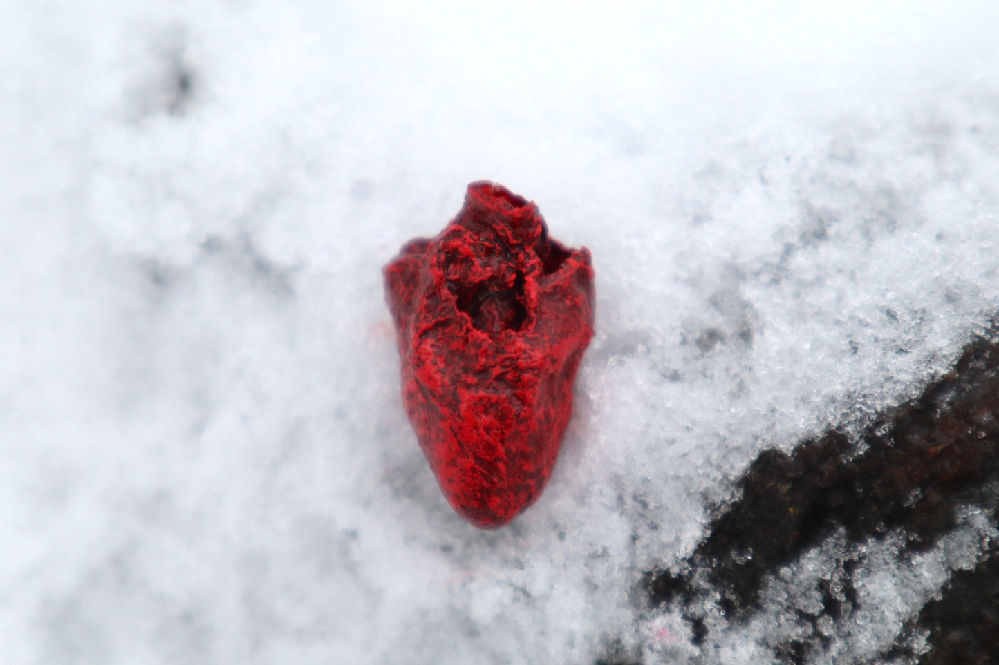 Dry Preserved Chicken Heart