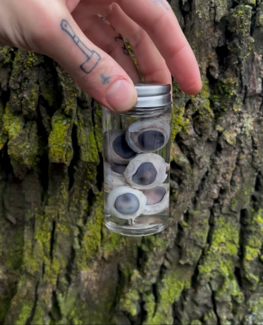 Reserved for Ratmilk -  Wet Specimen Coyote Eyeballs