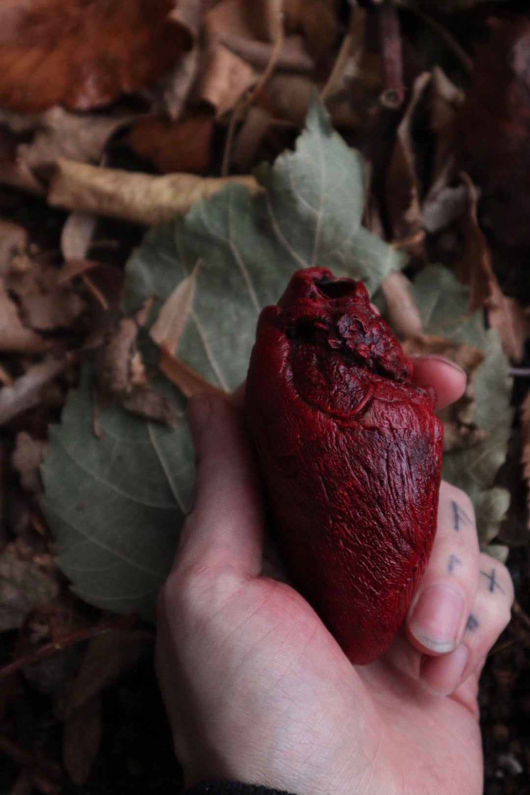 Dry Preserved Mountain Lion Heart