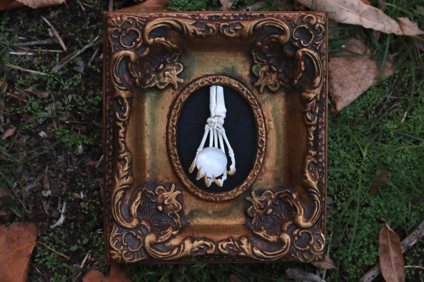Raccoon Paw Articulation with Crystal Ball