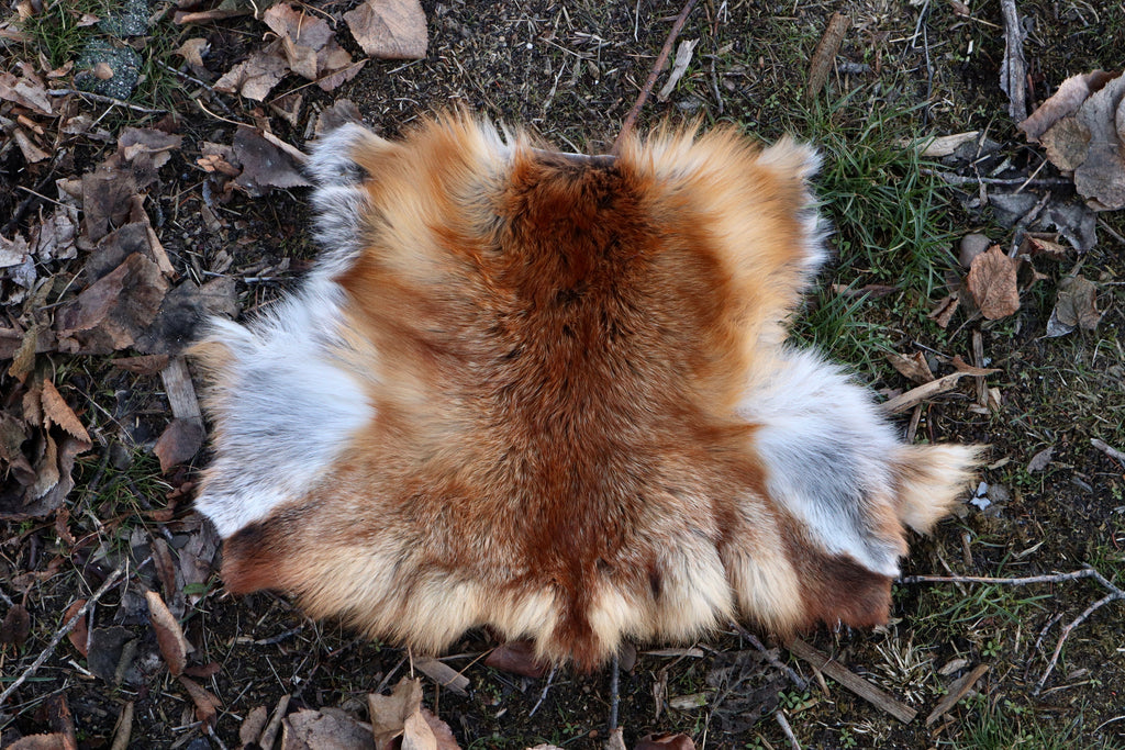 Red Fox Pelt - Double Bend