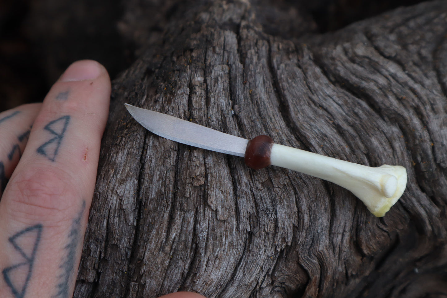 Kitten Tibia Knife