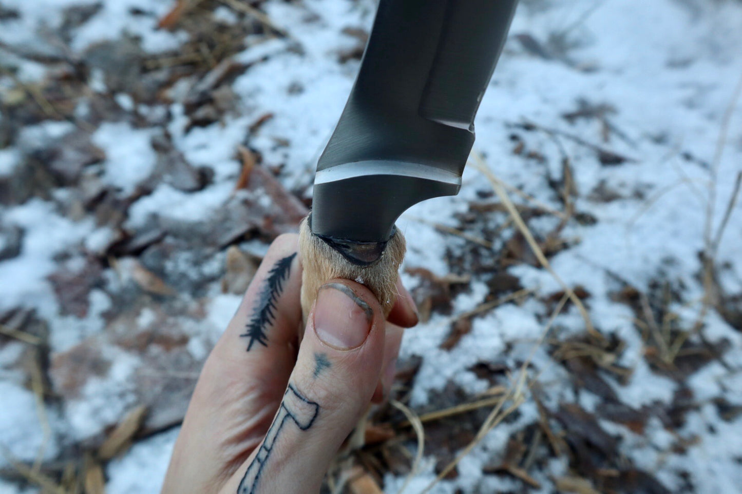 Coyote Paw Knife