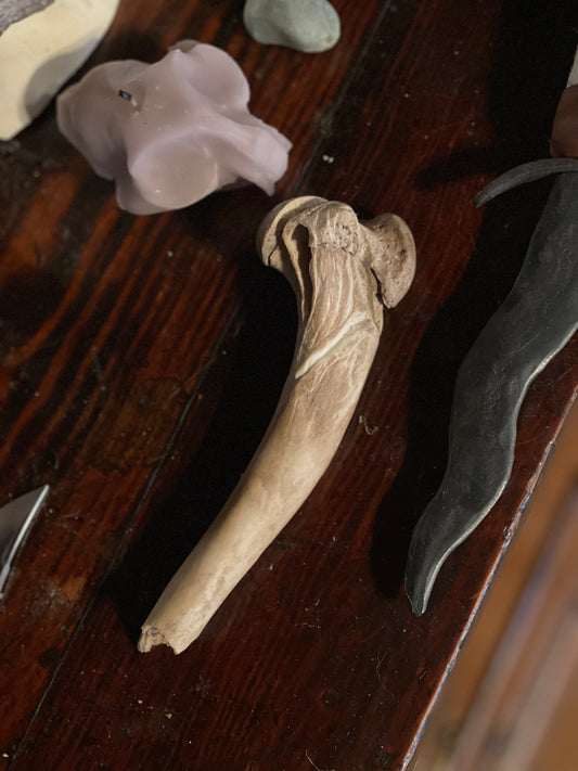 Reserved for Shayne - Dweller on The Threshold - German Shepherd Dog Humerus Bone Carving