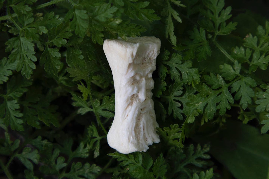 Reserved for Amy- Gray Wolf Green Man