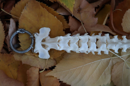Reserved for Devyn - Bobcat Spinal Column Articulation