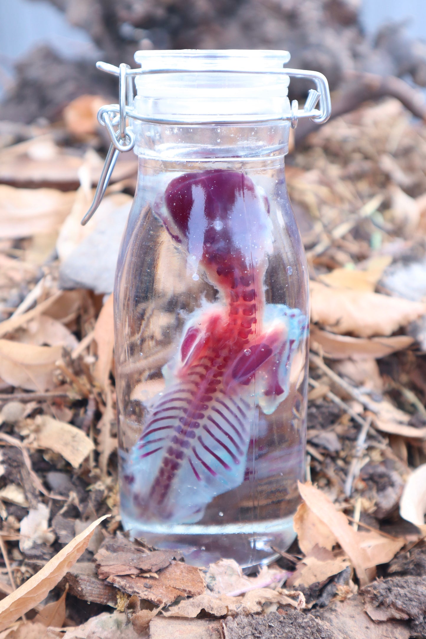 Diaphonized Red Fox Pup