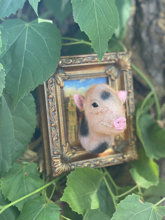 Reserved for Melissa - Framed Taxidermy Piglet