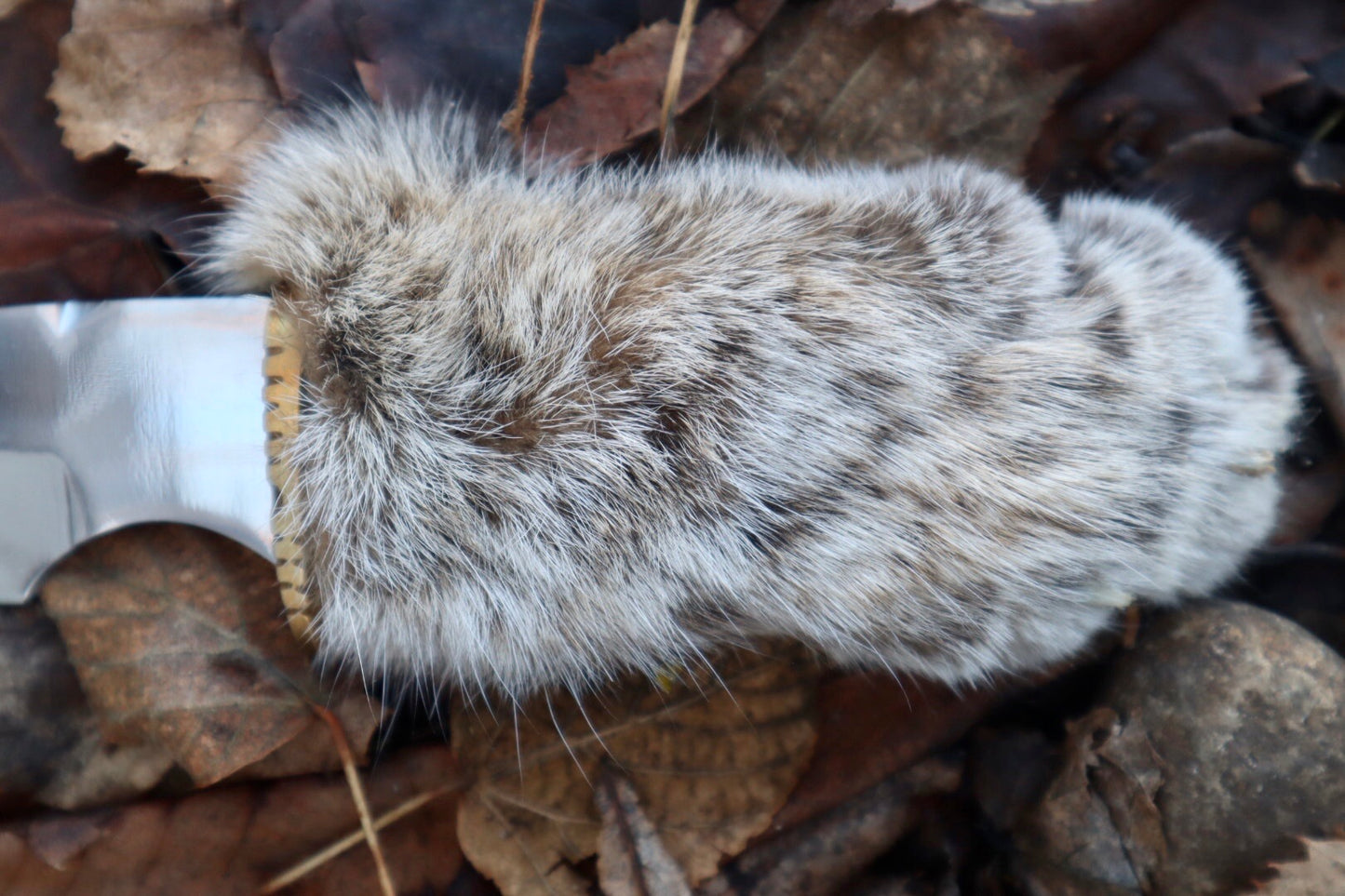 Bobcat Paw Knife