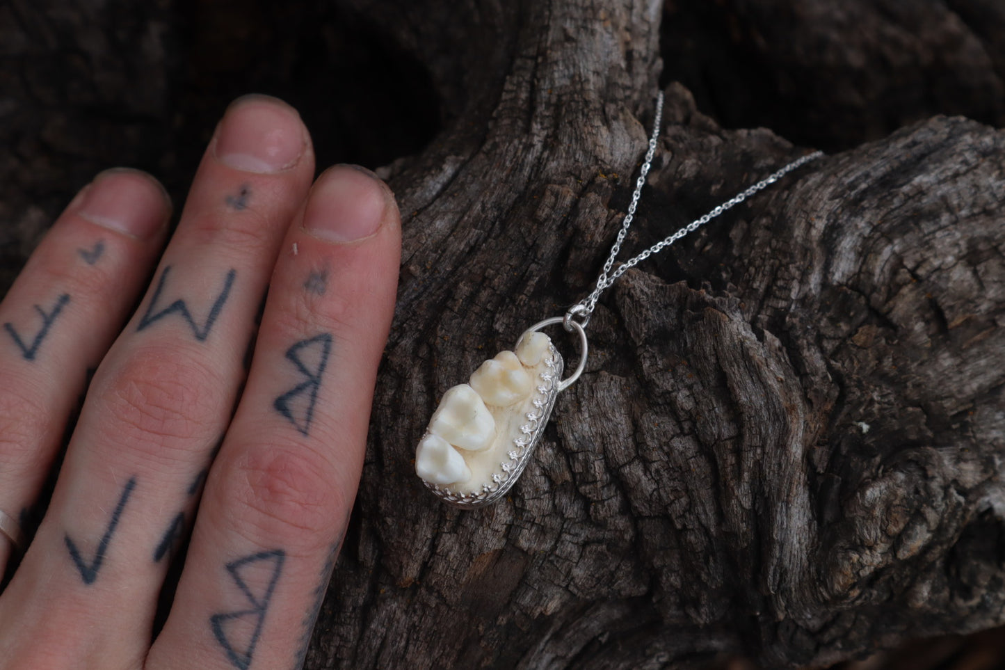 Reserved for Cora - Raccoon Skull Fragment Necklace - .925 Sterling Silver