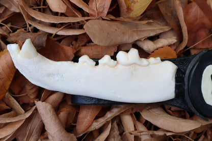 Black Iron Gray Wolf Mandible Knife with Celtic Gray Wolf Mandible Sheath