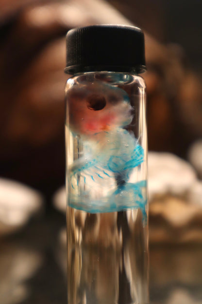 Diaphonized Fetal Cottontail Rabbit