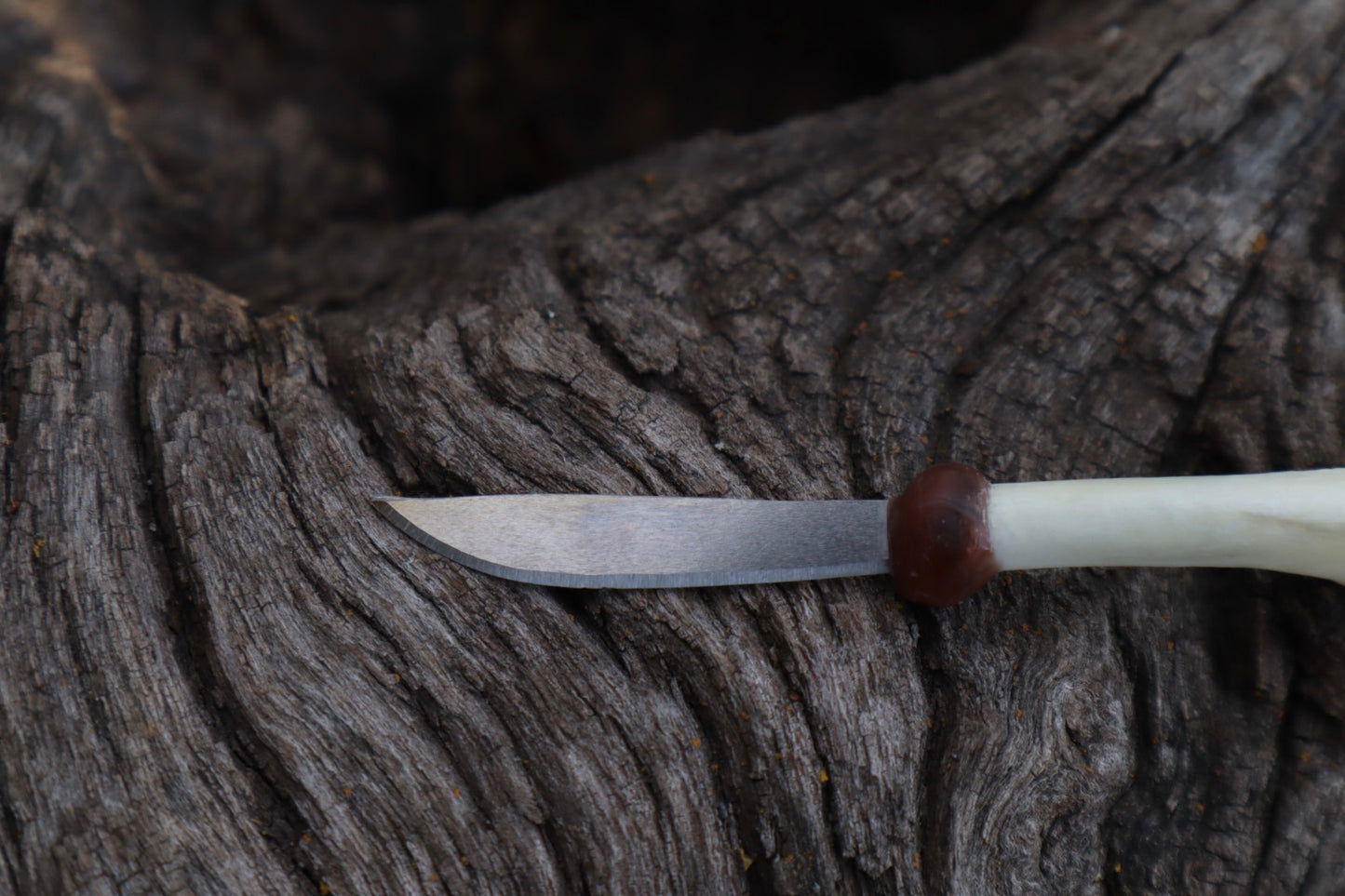 Kitten Tibia Knife