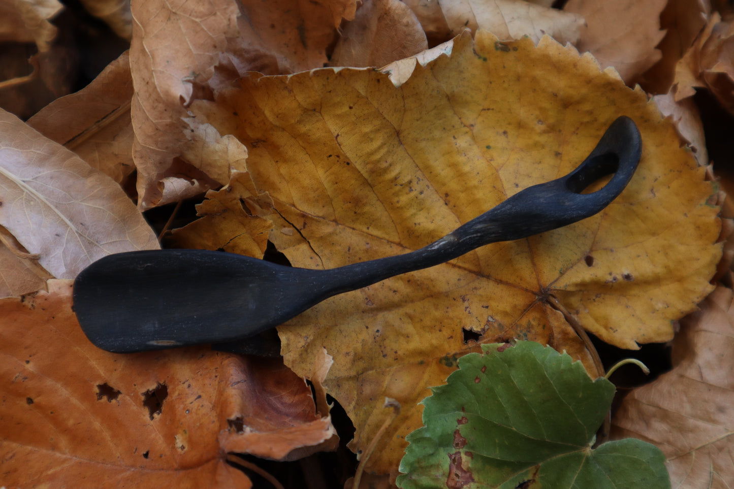 The Ladle of Light - Goat Horn Offering Spoon