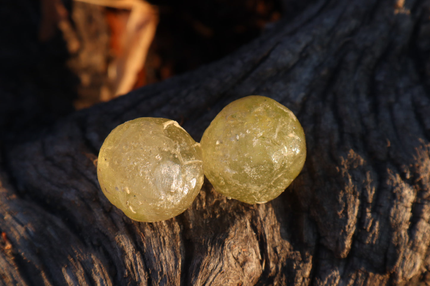 Crystal Coyote Eyes