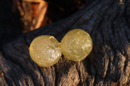 Crystal Coyote Eyes