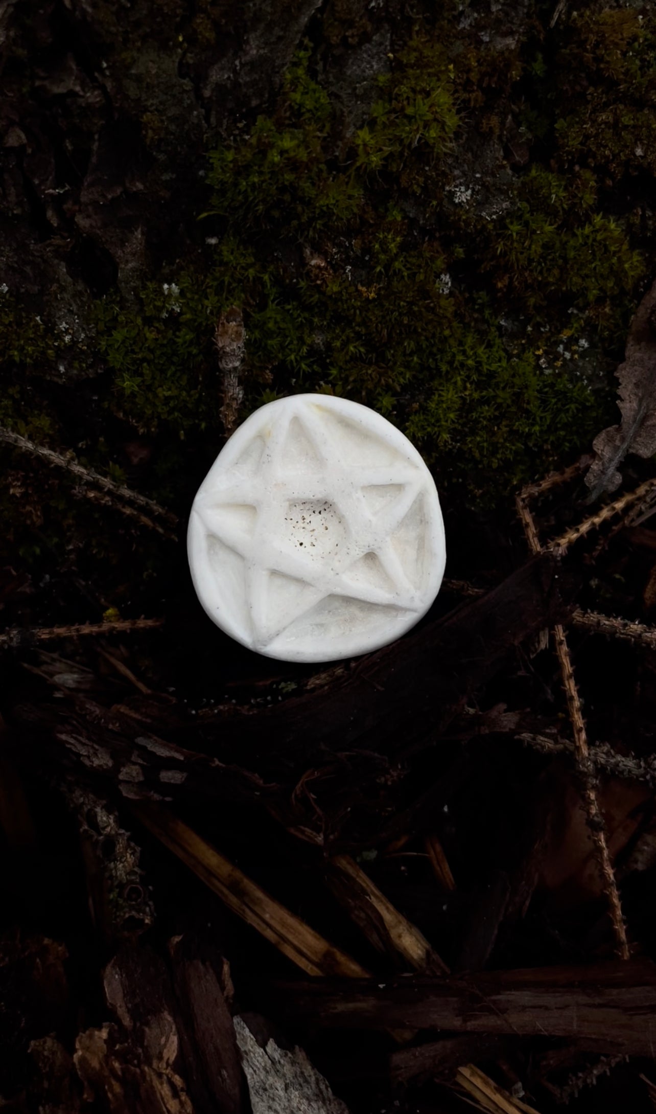 Reserved for Lindsey - Elk Bone Pentacle